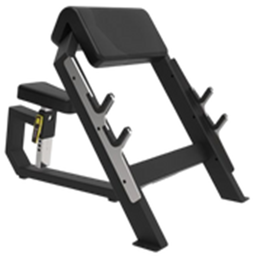 Preacher Curl
